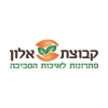 קבוצת אלון