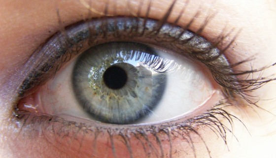 עיין, יניב זייד