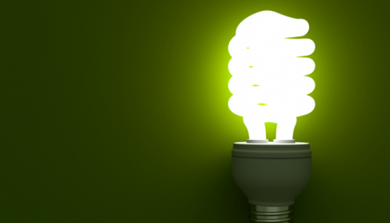 רעיון חדש, יניב זייד