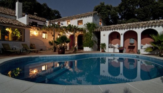 הזאב מוול סטריט