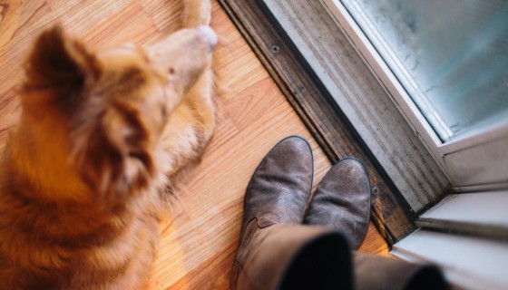 גשם בחוץ, יניב זייד