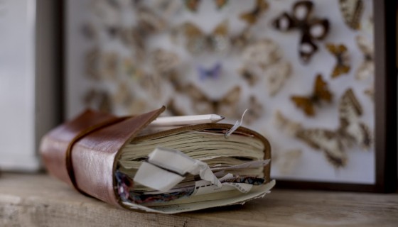 ארנק מזומנים, יניב זייד