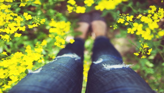 רגליים פרחים