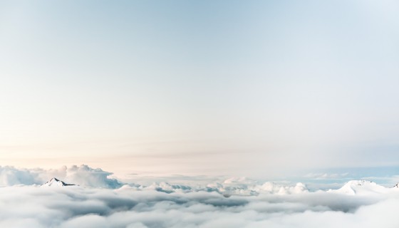 הרצאות ושיווק